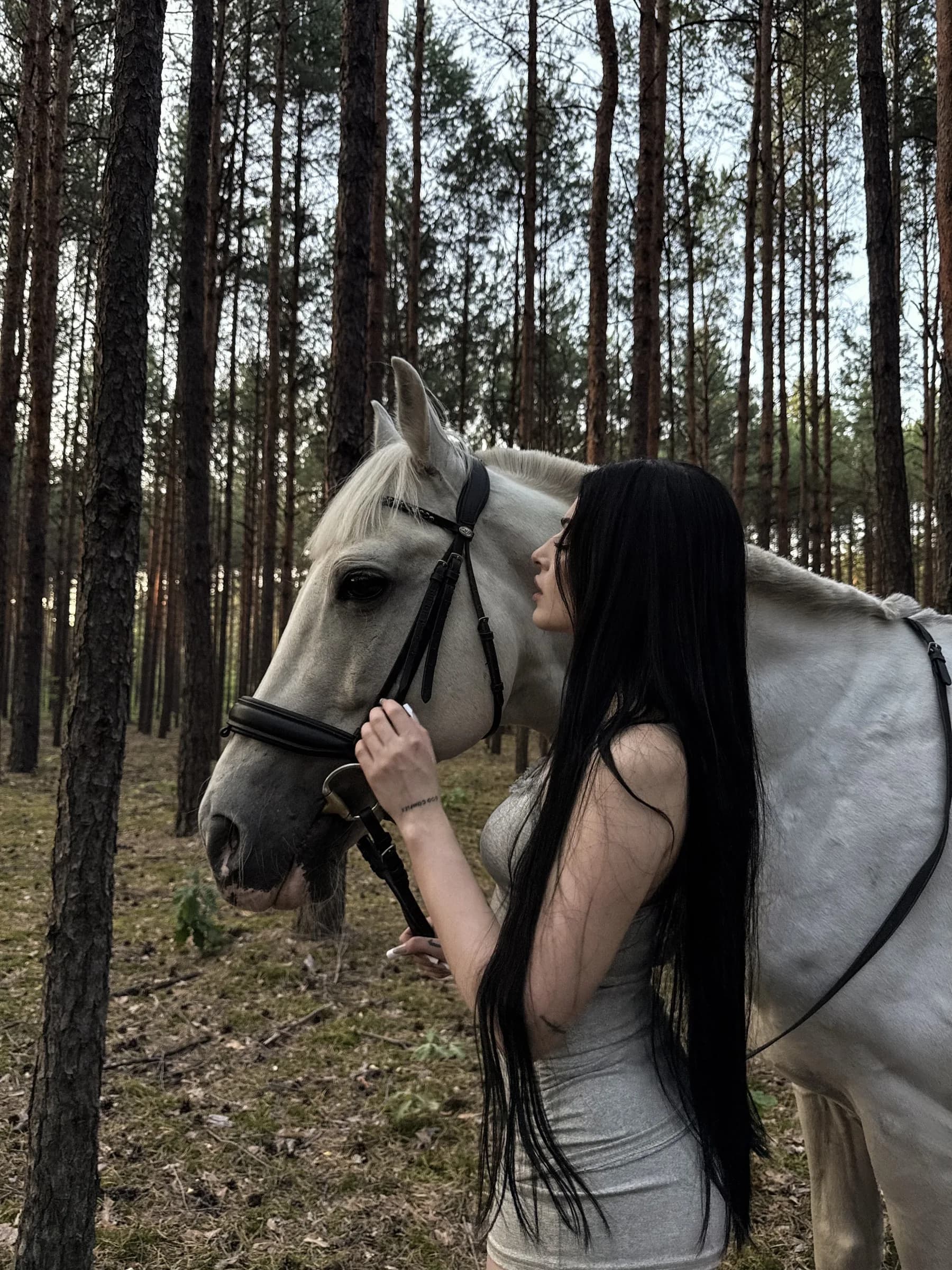 Портрет с белой лошадью в сосновом лесу